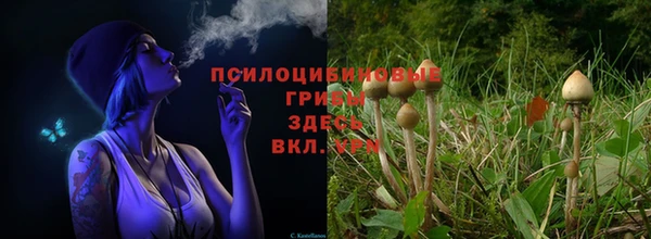 бутик Баксан