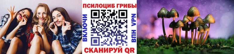 магазин  наркотиков  Афипский  Псилоцибиновые грибы Psilocybine cubensis 